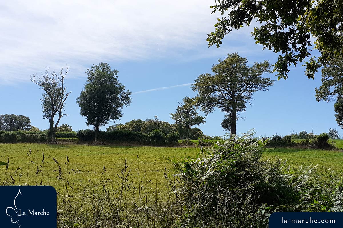 Vue des hauteurs des Monts de Guéret