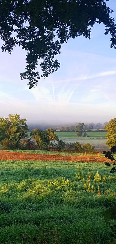 Paysage d'automne Creuse